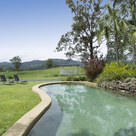 Hillcrest Mountain View Retreat Bed & Breakfast Crystal Creek Eksteriør bilde