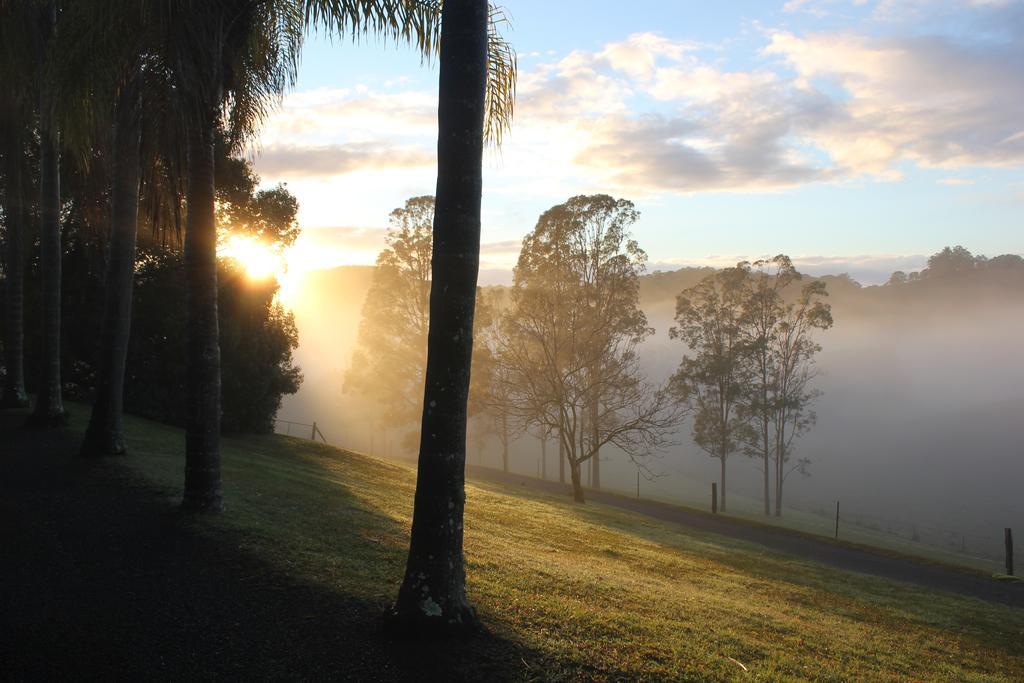 Hillcrest Mountain View Retreat Bed & Breakfast Crystal Creek Eksteriør bilde