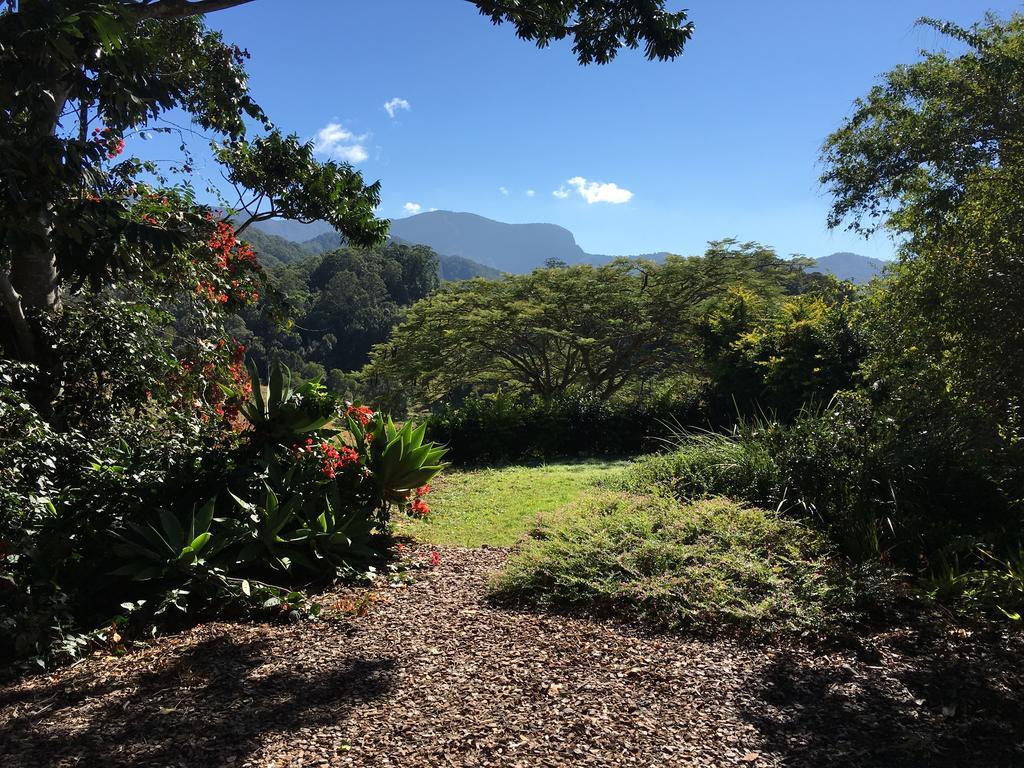 Hillcrest Mountain View Retreat Bed & Breakfast Crystal Creek Eksteriør bilde