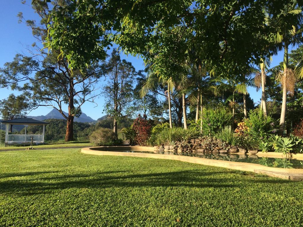 Hillcrest Mountain View Retreat Bed & Breakfast Crystal Creek Eksteriør bilde