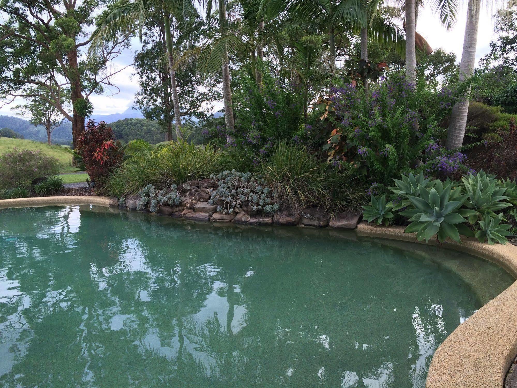 Hillcrest Mountain View Retreat Bed & Breakfast Crystal Creek Eksteriør bilde